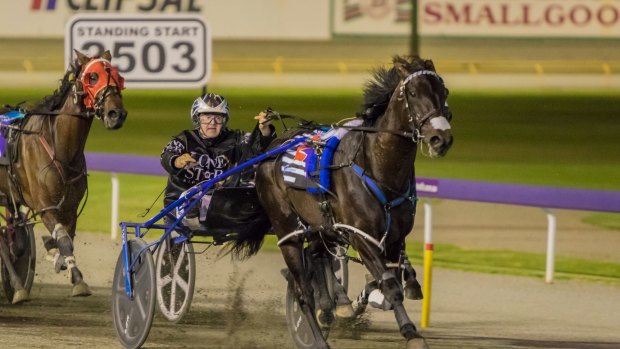 Record hunter: Lazarus wins the Inter Dominion at Gloucester Park last year.