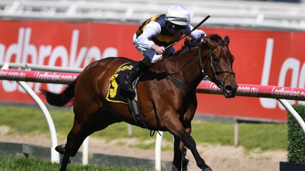 Back to her best: Aloisia will focus on Sydney in the future because of the altrenogest rule.
