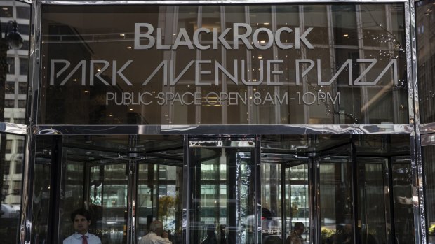  BlackRock's green credentials have long been questioned.