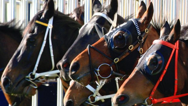 There are eight races scheduled for today in Dubbo.