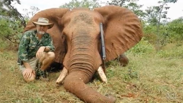 Shooter, Fishers and Farmers Party leader Robert Borsak with a dead elephant. 