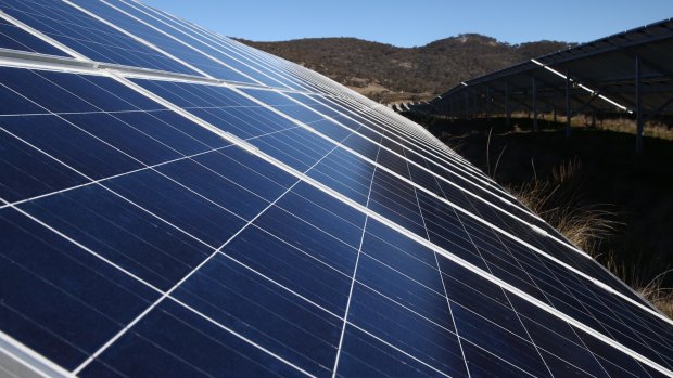 Wind parks and solar farms will supply, on average, 100 per cent of Canberra's electricity needs by 2020.