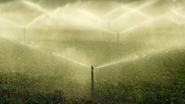 Customers are being charged a "part A" water charge despite not being able to use any water under some Queensland irrigation schemes.