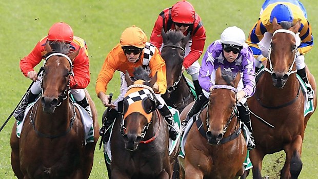 Racing returns to Grafton on Thursday.
