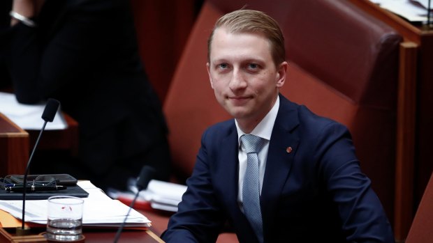 Committee chair, James Paterson, says more right-wing extremist groups could be declared terrorist organisations after the listing of    neo-Nazi group, Sonnenkrieg Division.