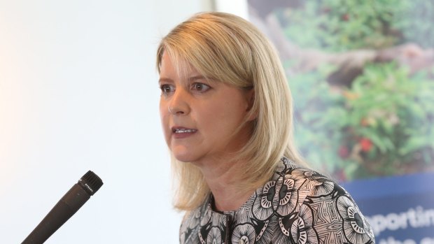 Natasha Stott-Despoja released a statement this week calling the toll of murdered women in Australia in 2018 an emergency.