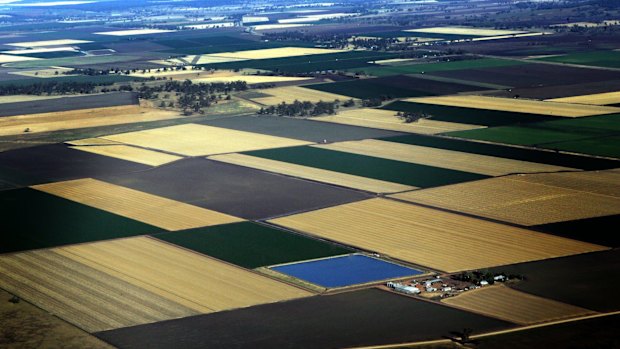 Broadacre cropland, such as on the Liverpool Plains of NSW, has removed crucial habitat for insects and other animals.