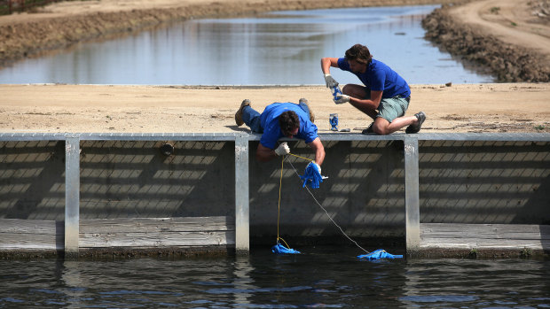 Water samples are taken for testing from a canal near Bakersfield, California, in 2015.