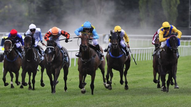 Racing returns to Gosford today, with six races on the card.
