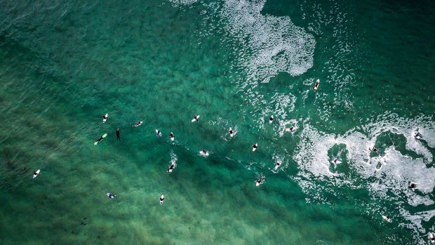 Surfers  at Maroubra.