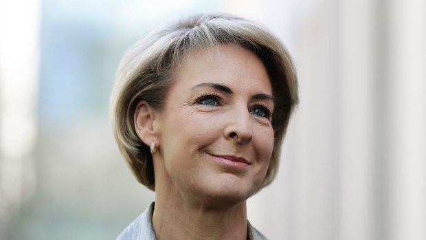 Minister for Small and Family Business, Skills and Vocational Education Michaelia Cash has previously told businesses that a plan for training, particularly in regional areas, is a priority. 
