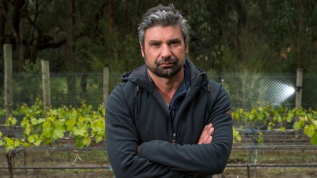 Franco D'Anna, winemaker at Hoddles Creek Estate where deer have caused extensive damage. 