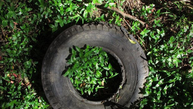 Old rubber tyres will be repurposed and turned into road surfacing material by Brisbane City Council.