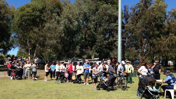 Volunteers line up to help search for missing toddler Sam Trott in Landsdale, Perth.