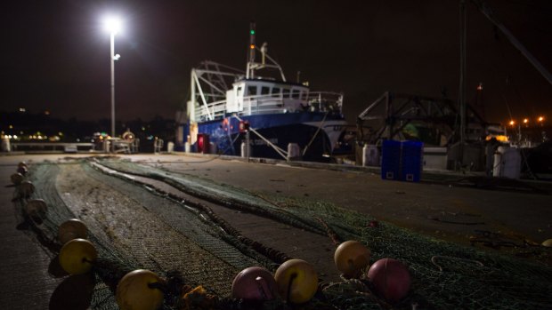 Fishing trawlers tied up at the dock at the early morning Sydney Fish Market auction.