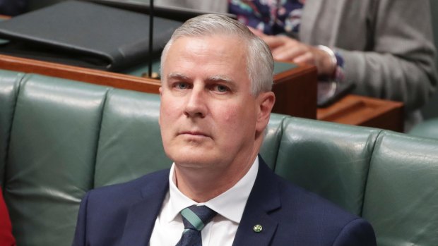 Deputy Prime Minister Michael McCormack has sought the assistance of technology companies such as Google and Apple.