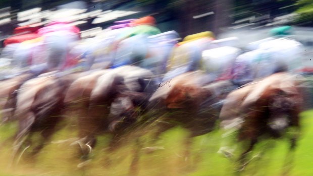 Racing returns to Coffs Harbour on Friday.