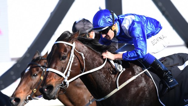 Defying logic: Winx wins the Warwick Stakes – the race now renamed in her honour – last year.