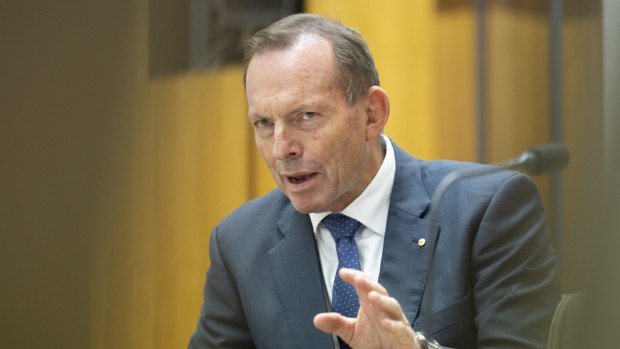  Former prime minister Tony Abbott chose Ziggy Zwitkowski to chair NBN.