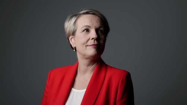 Tanya Plibersek has been in Parliament for more than 20 years and was Labor's deputy leader for six years. 