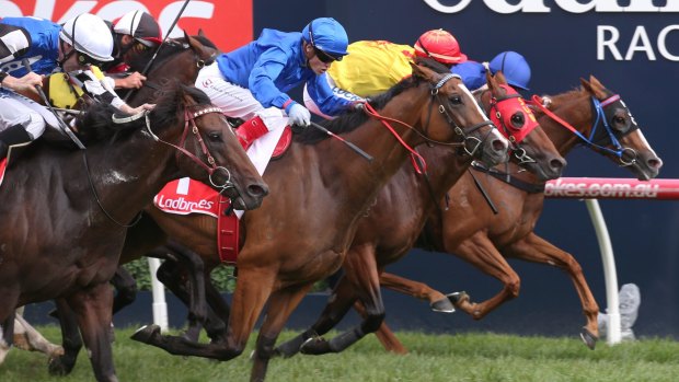 Hartnell dives through the centre to win the C.F Orr Stakes first up at Caulfield last year.