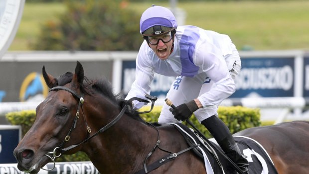Stampede is among the main fancies for the listed Wyong Gold Cup.