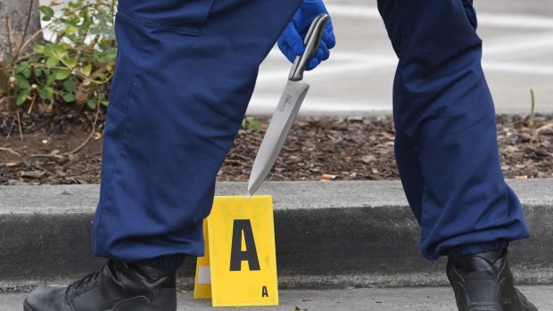 Police retrieve a knife from a crime scene near Bonnyrigg High School.