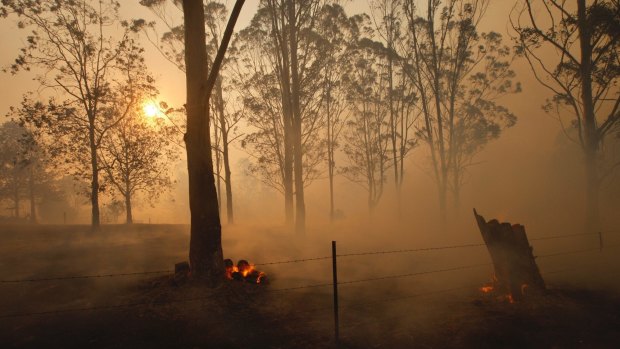 Fire crews tackle flare ups on the Hillville blaze. 