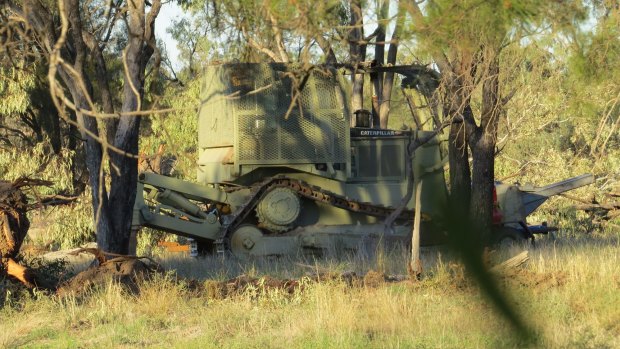 Despite stating there would be no amnesty for illegal land clearing, the Berejiklian government has dropped action against potentially hundreds of farmers.