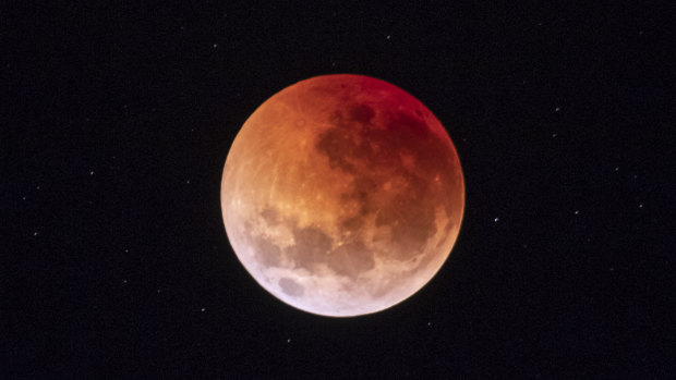 The blood moon seen from the National Arboretum.