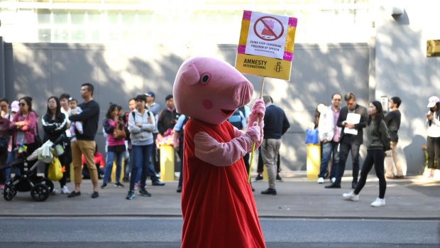 An Amnesty International supporter dressed as the children's television show character Peppa Pig protests outside the Chinese Consulate in Sydney earlier this month.