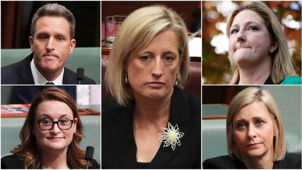 Labor MP Josh Wilson, Senator Katy Gallagher, crossbench MP Rebekha Sharkie, Labor MP Susan Lamb and Labor MP Justine Keay, have been caught by section 44.