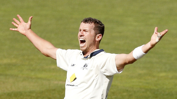 Peter Siddle is unlikely to play in Adelaide.