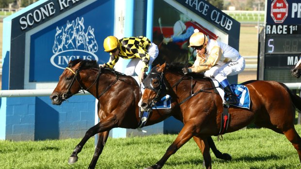 Seventh heaven: it's a seven-race card in the horse capital of Australia on Monday.