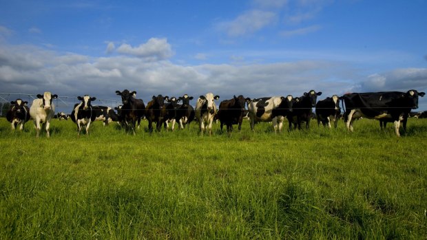 Australia's national farm representative group has endorsed a policy for an Australia-wide goal for net zero greenhouse gas emissions by 2030.