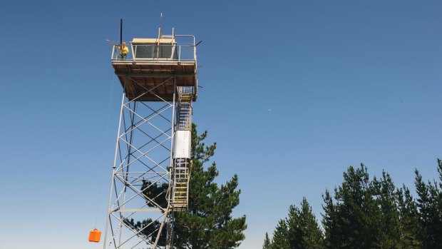 The Kowen Forest fire tower, which was offline from August 26 until October 9.