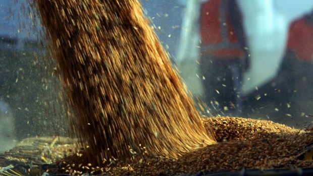 Graincorp plans to demerge its global malting business from its volatile east coast grains logistics businesses.