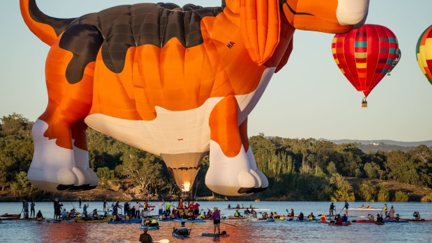 Canberrans support the popular hot air balloon festival, the Canberra balloon spectacular on Monday 11th March 2019, Canberra day. 