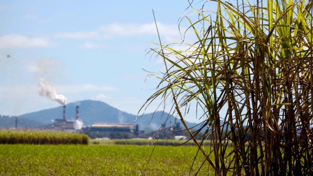 A sugar cane refinery in Mackay, northern Queensland. 