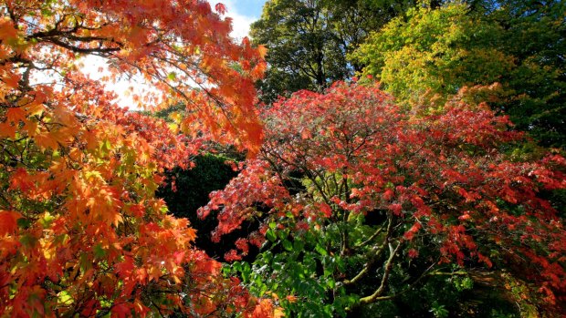 Victoria in autumn.