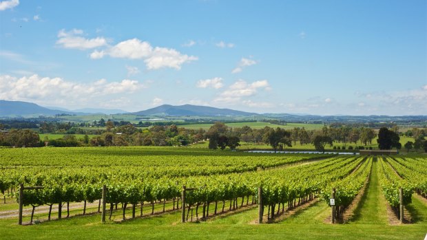 The Yarra Valley will host the families of England players and staff for mid-December quarantine, after international borders are relaxed.