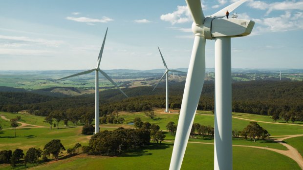 A boom in wind and solar power has lifted the role of renewables in Australia's energy mix, although coal will not be displaced as the country's main power source in the near future.