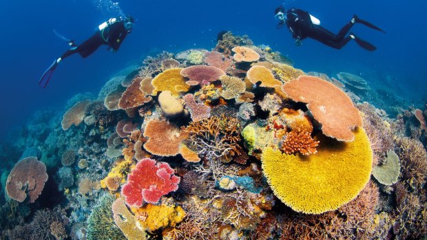 The Great Barrier Reef Outlook Report spells out the challenges.
