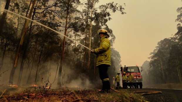 Northern Territory Fire and Rescue firefighter Luke Ezzy contains a blaze beside the Princes Highway near Nowra during the Black Summer bushfires.