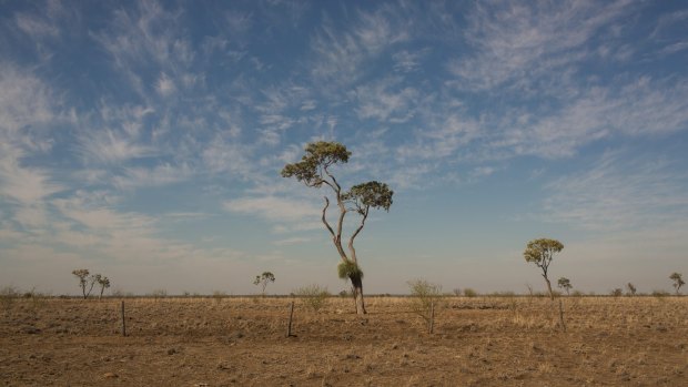 Eight south-east Queensland councils have now been declared as in drought.