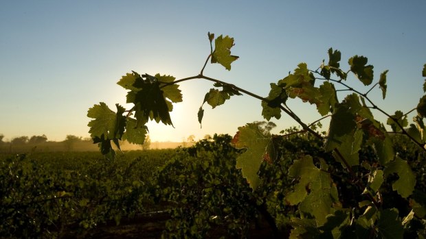 The new trade agreement will guarantee Australian  wine exports to Britain post-Brexit.