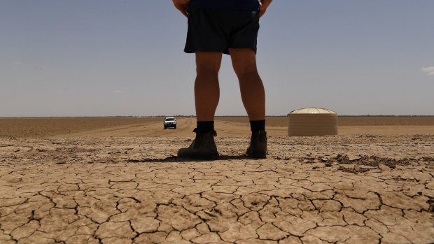 Tanya Plibersek says water buybacks remain on the government agenda, arguing they will help communities in future droughts.
