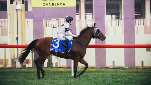 Front runner: Dark Eyes returns to scale after winning the Canberra Cup.