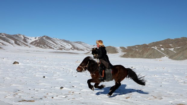 Aisholpan hunting for foxes in the Altai mountains.