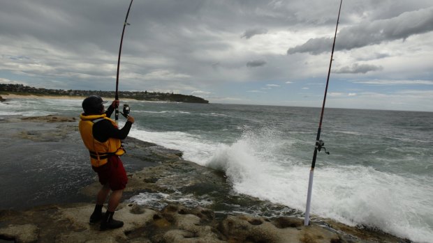 Environmental groups fear the NSW government will buckle in face of a concerted campaign by conservative talk-back radio hosts and angler groups.